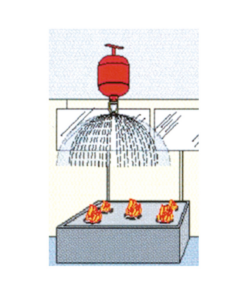 Alternative view of ESTINTORE AUTOMATICO IN POLVERE CON MANOMETRO