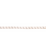 TRECCIA ELASTICA
